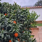 La Casa Del Patio Atba00260 아파트 사프라