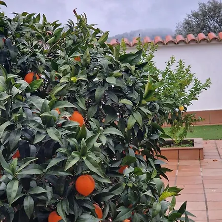 La Casa Del Patio Atba00260 Διαμέρισμα Zafra