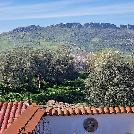 La Casa Del Patio Atba00260 *