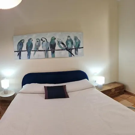 La Casa Del Patio Atba00260 扎弗拉