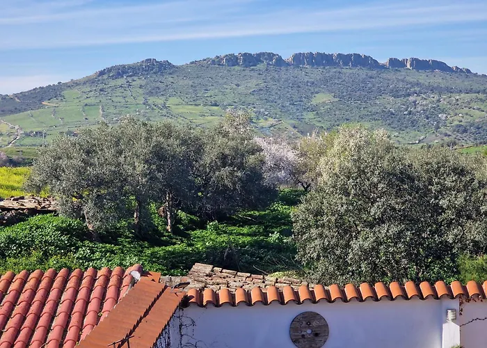 La Casa Del Patio Atba00260 *