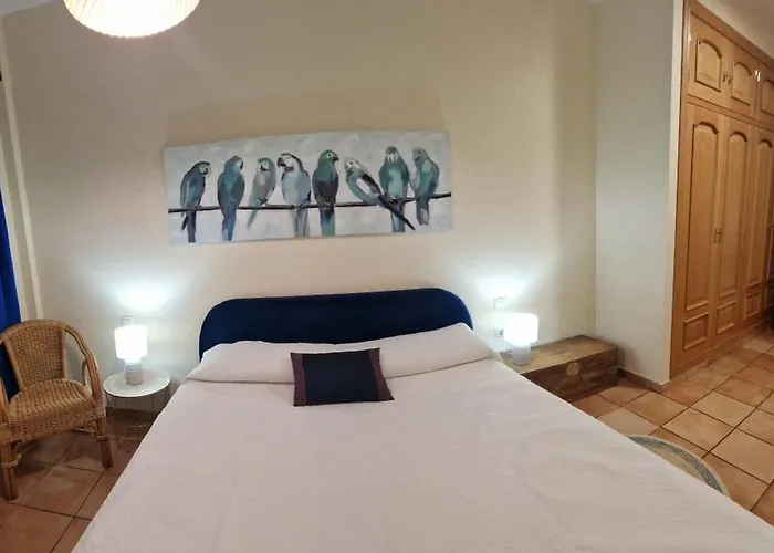 La Casa Del Patio Atba00260 Zafra